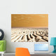 Spring Sunrise over Surface Wall Decal