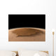 Artist's Concept Northwest Side Wall Decal