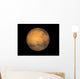 Planet Mars Wall Decal