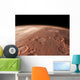 Heavily Cratered Highlands Surface Wall Decal