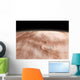 High Altitude Clouds Water Wall Decal