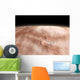 High Altitude Clouds Water Wall Decal