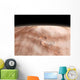 High Altitude Clouds Water Wall Decal