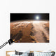 Artist's Concept Valles Marineris Wall Decal