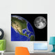 Artist's Concept Earth and Wall Decal