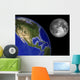 Artist's Concept Earth and Wall Decal