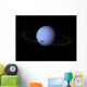 Artist's Concept Neptune Wall Decal Design 1