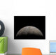 Artist's Concept Pluto Wall Decal
