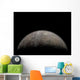 Artist's Concept Pluto Wall Decal