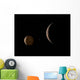 Artist's Concept Pluto and Wall Decal