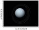 Artist's Concept Uranus and Wall Decal Design 1
