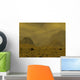 Artist's Concept Surface Venus Wall Decal
