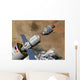Command Module Prepares to Wall Decal