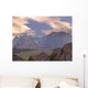 Variety Micro Organisms Have Wall Decal