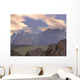 Variety Micro Organisms Have Wall Decal