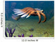 Cambrian Anomalocaris Ocean Wall Decal