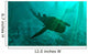 Armored Bothriolepis Glides along Wall Decal