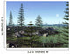 Calamites and Drepanophycus Populate Wall Decal Design 2
