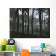 Forest Cordaites and Araucaria Wall Decal Design 2
