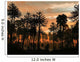 Forest Cordaites and Araucaria Wall Decal Design 1