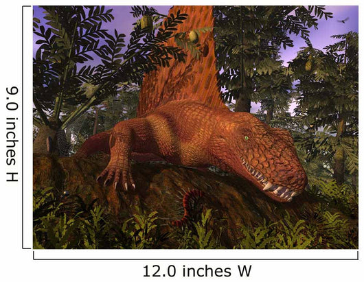 Dimetrodon amongst Alethopteris Ferns Wall Decal