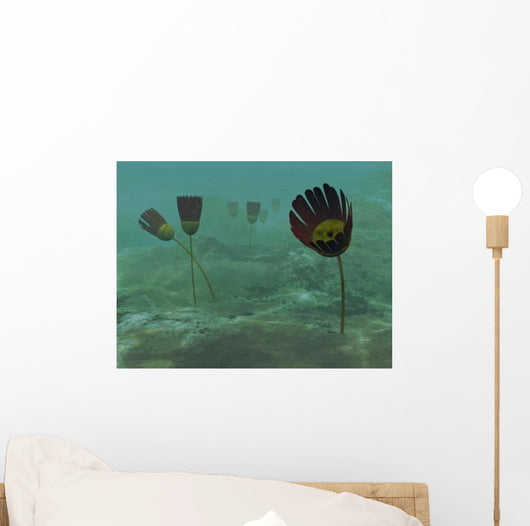 Species Genus Dinomischus Populate Wall Decal