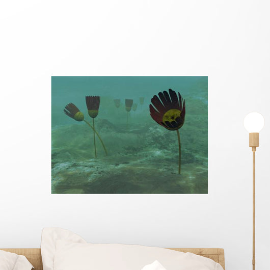 Species Genus Dinomischus Populate Wall Decal