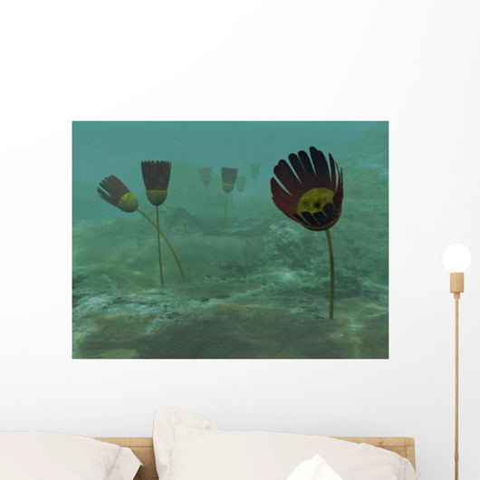 Species Genus Dinomischus Populate Wall Decal