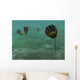 Species Genus Dinomischus Populate Wall Decal