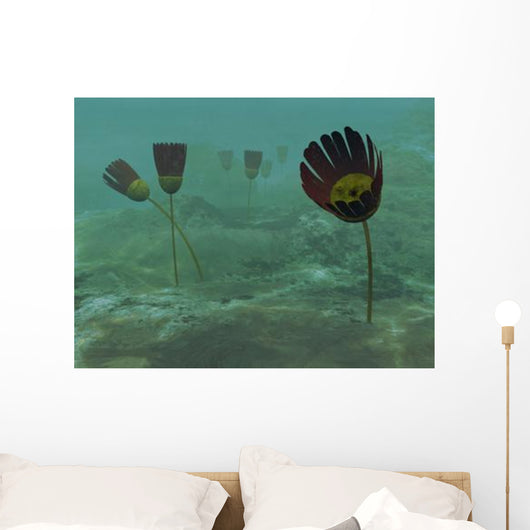 Species Genus Dinomischus Populate Wall Decal