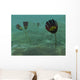 Species Genus Dinomischus Populate Wall Decal