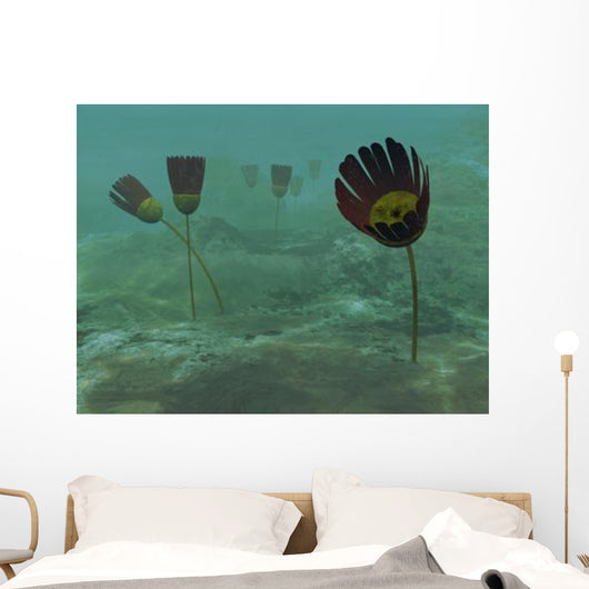 Species Genus Dinomischus Populate Wall Decal