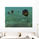 Species Genus Dinomischus Populate Wall Decal