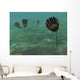 Species Genus Dinomischus Populate Wall Decal