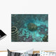 Olenoides Trilobite Scurries across Wall Decal