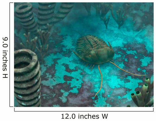 Olenoides Trilobite Scurries across Wall Decal