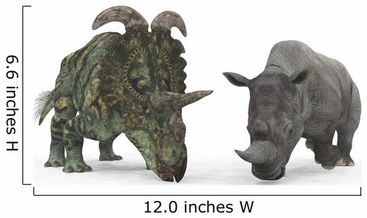 Albertaceratops Compared to Adult Wall Decal