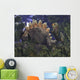 Allosaurus Stumbles upon Grazing Wall Decal