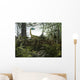 Coelophysis Dinosaurs Walk amongst Wall Decal