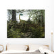 Coelophysis Dinosaurs Walk amongst Wall Decal