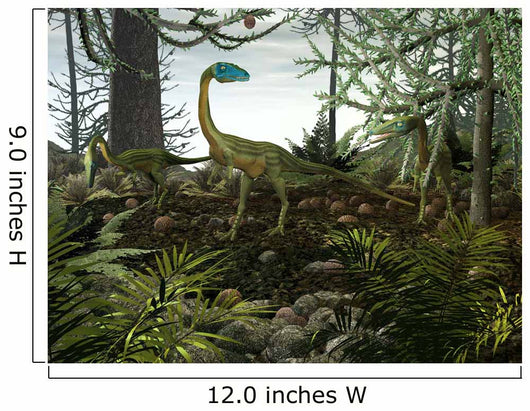 Coelophysis Dinosaurs Walk amongst Wall Decal