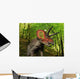 Colorful Triceratops Wanders Cretaceous Wall Decal