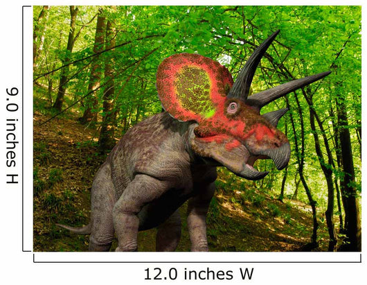 Colorful Triceratops Wanders Cretaceous Wall Decal