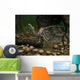 Compsognathus Prepares to Swallow Wall Decal