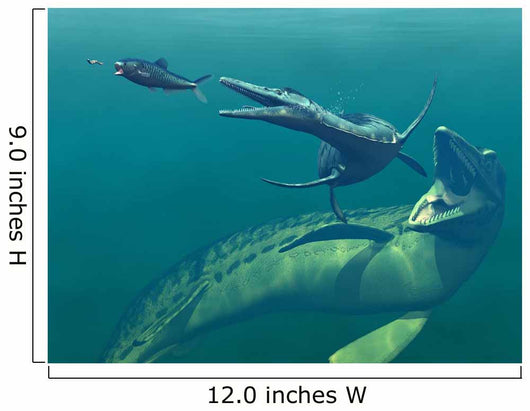 Marine Predators Cretaceous Period Wall Decal Design 2