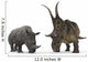 Adult Diabloceratops Compared to Wall Decal