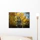 Diabloceratops Wanders Cretaceous Forest Wall Decal