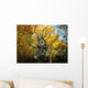 Diabloceratops Wanders Cretaceous Forest Wall Decal