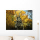 Diabloceratops Wanders Cretaceous Forest Wall Decal