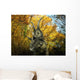 Diabloceratops Wanders Cretaceous Forest Wall Decal